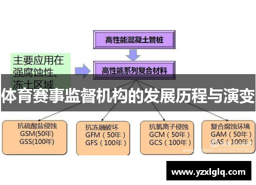 体育赛事监督机构的发展历程与演变