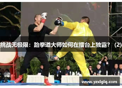 挑战无极限：跆拳道大师如何在擂台上独霸？ (2)